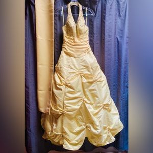 Beautiful Beauty and the Beast inspired Belle ball gown.